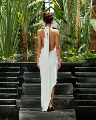 Vanaya Dress